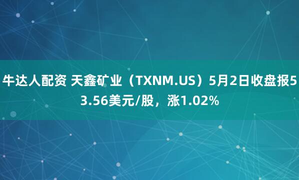 牛达人配资 天鑫矿业（TXNM.US）5月2日收盘报53.56美元/股，涨1.02%
