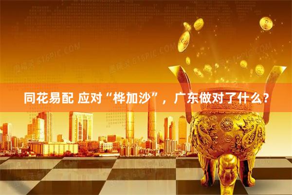同花易配 应对“桦加沙”，广东做对了什么？