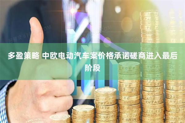 多盈策略 中欧电动汽车案价格承诺磋商进入最后阶段