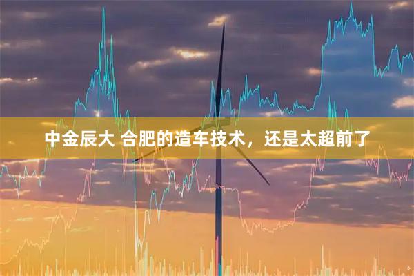 中金辰大 合肥的造车技术，还是太超前了