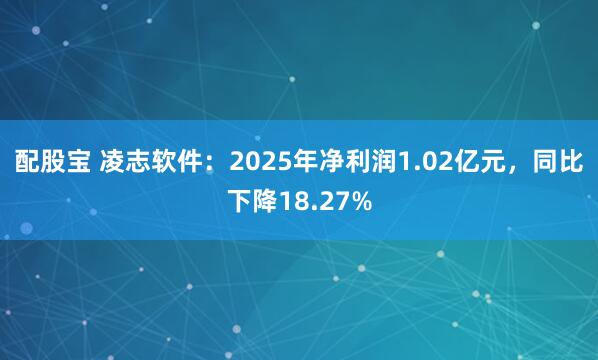 配股宝 凌志软件：2025年净利润1.02亿元，同比下降18.27%