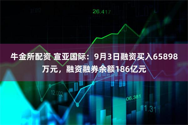 牛金所配资 宣亚国际：9月3日融资买入65898万元，融资融券余额186亿元