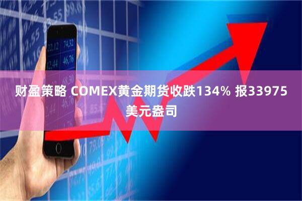 财盈策略 COMEX黄金期货收跌134% 报33975美元盎司