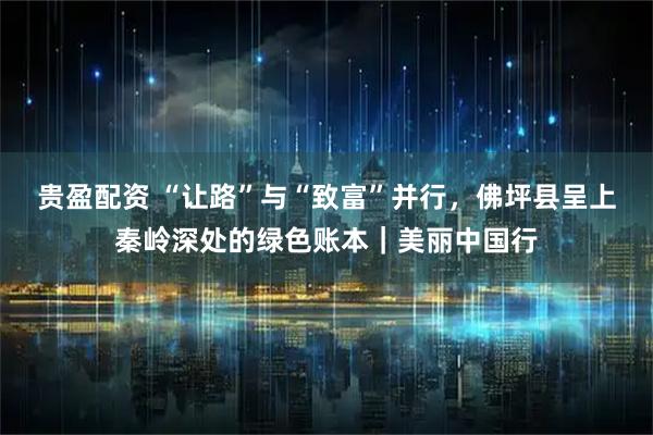 贵盈配资 “让路”与“致富”并行，佛坪县呈上秦岭深处的绿色账本｜美丽中国行
